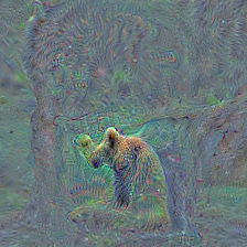 n02130308